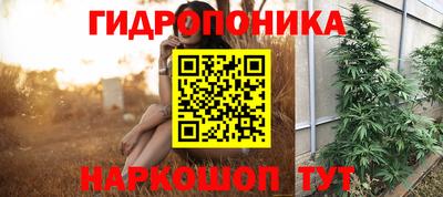 мет Новозыбков