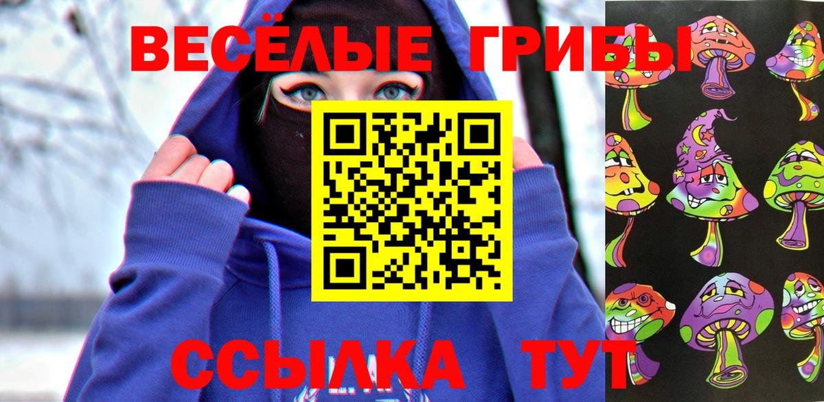 Волгоград  Псилоцибиновые грибы ЛСД  Вход с VPN 