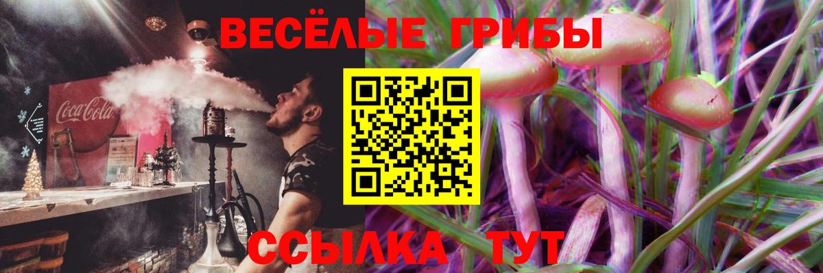 Галлюциногенные грибы мицелий Волгоград